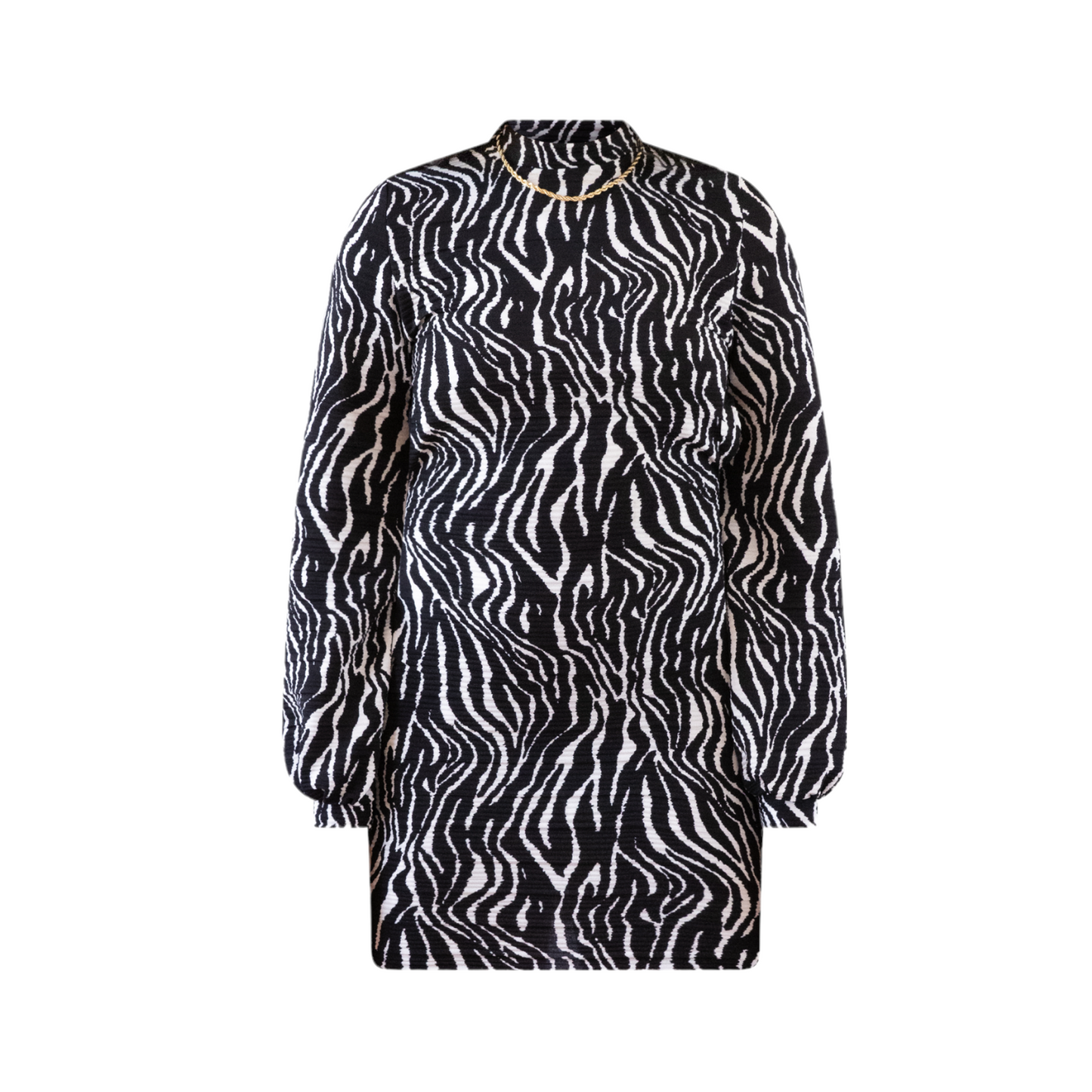 BAKO Longsleeve Plisse Dress